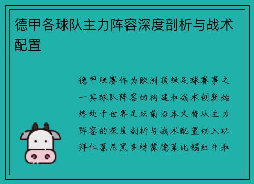 德甲各球队主力阵容深度剖析与战术配置