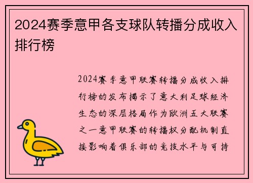 2024赛季意甲各支球队转播分成收入排行榜